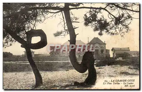 Cartes postales La Grande Cote Les Pins Tordus La Casino