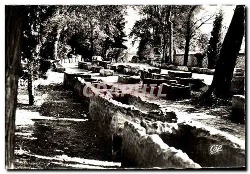 Ansichtskarte AK Arles Les Alyscamps allee des Tombeaux