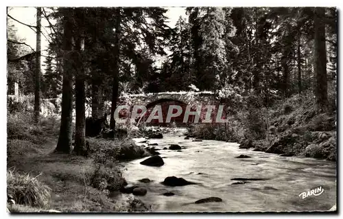 Cartes postales Gerardmer Station climatique Le Pont des Fees sur la Vologne