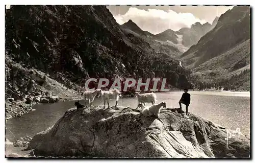 Ansichtskarte AK Lac De Gaube Le Lac Chevre Goat