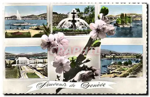 Cartes postales Souvenir de Geneve Suisse