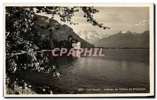 Cartes postales Lac Leman Chateau de Chillon au Printemps Suisse