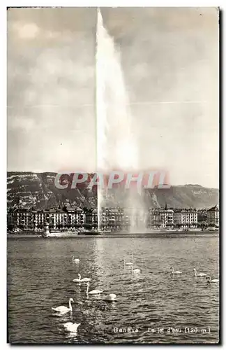 Cartes postales Geneve Suisse Cygnes