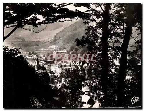 Cartes postales Le Mont Dore a travers les arbres