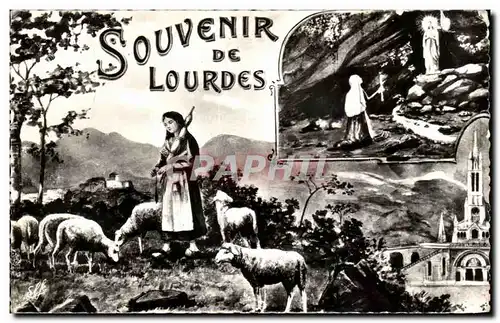 Cartes postales Souvenir De Lourdes Moutons