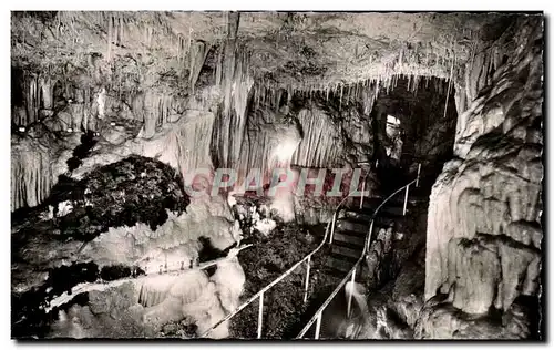 Ansichtskarte AK Monaco Les Grottes De l&#39Observataoire Dans Le Jardin