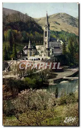 Cartes postales Lourdes La Basilique le Gave et le Nouveau Pont inaugure le mare 25 mars 1966