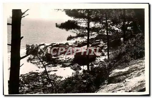 Cartes postales ile De Noirmoutier Un Coin Pittoresque Dans Le Bois De La Chaize