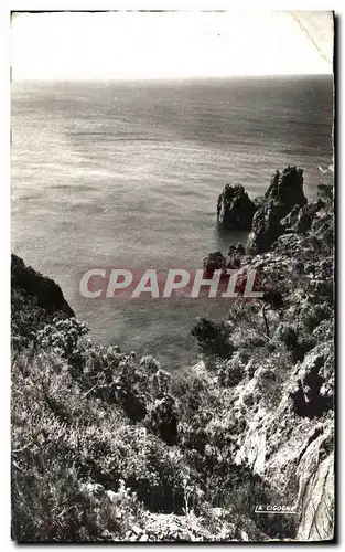 Cartes postales La Corniche D&#39Or La Cote Rocheuse