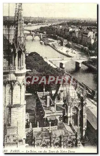 REPRO Paris La Seine vue Des Tours De Notre Dame