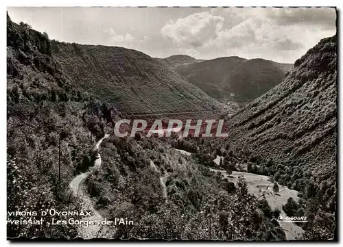 Cartes postales Environs d&#39Oyonnax Corveissiat Les Gorges de l&#39Ain