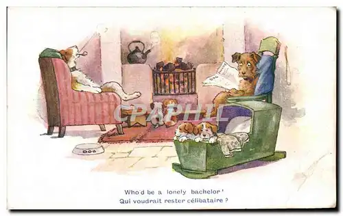 Cartes postales Who d be a lonely bachelor qui voudrait rester celibataire Chiens Humour