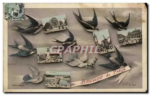 Cartes postales Souvenir de Paris Hirondelles