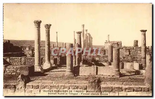 Cartes postales Ruines Romaines De Timgade Maison aux Jardineres Roman Ruins at Timgad