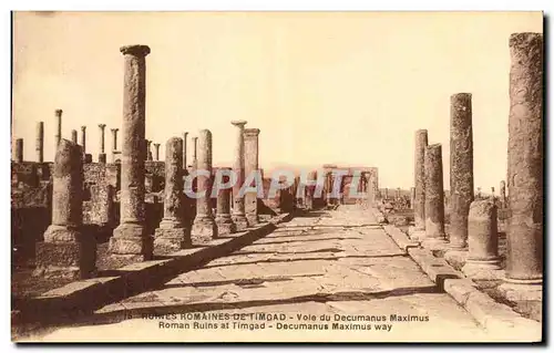 Ansichtskarte AK Ruines Romaines De Timgad Vole du Decumanus Maximus Roman Ruins at Timgad Decumanus Maximus way