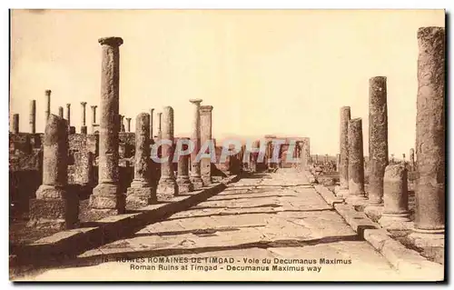 Cartes postales Ruines Romaines De Timgad Vole du Decumanus Maximus Roman Ruins at Timgad Decumanus Maximus way