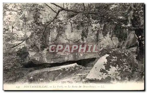 Cartes postales Fontainebleau La Foret La Roche des Deus Soeurs