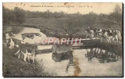 Cartes postales Chasses a courre Le cerf a l&#39arret Chasse Chiens Oise Chantilly