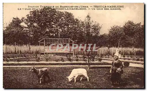 Cartes postales Station Thermale De Bagnoles De L&#39Orne Tesse La Madeleine Le Clos Joli A Tesse La Madeleine U