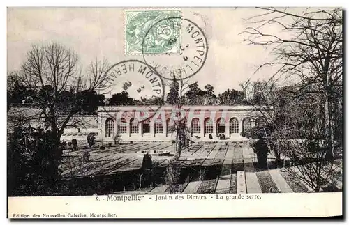 Ansichtskarte AK Montpellier Jardin des Plantes La grande Serre