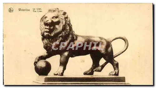 Cartes postales Waterloo Le Lion