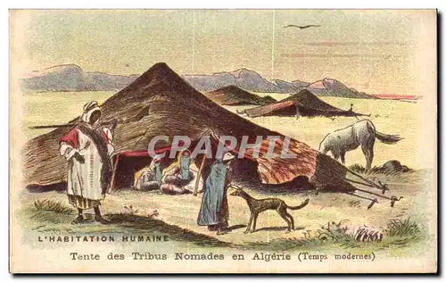 Chromo L&#39Habitation Humaine Tente des Tribus Nomades en Algerie