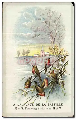 Chromo A La Place De La Bastille Faubourg St Antoine Oiseaux