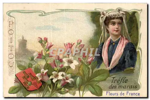 Chromo Poitou Trefle des marais Fleurs de France Belle Jardiniere Beriot lille chicoree