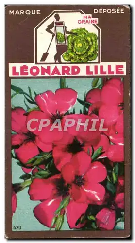 Image Fleurs Leonard Lille Lin