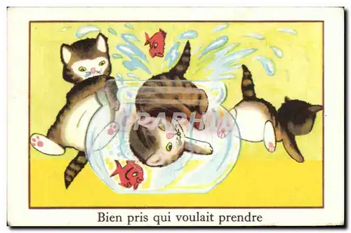 Image Bien Pris qui voulait prendre Chats