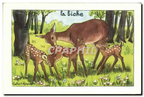 Image La Biche