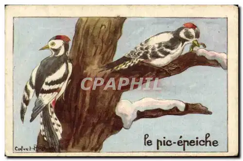 Image Le pic Epeiche Oiseau
