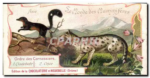 Chromo Le Monde Des Mammiferes Chocolaterie d&#39aiguebelle Drome