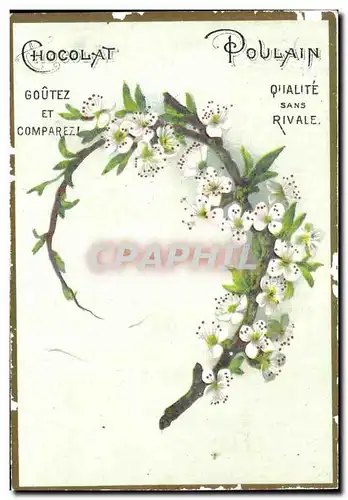 Chromo Chocolat Poulain Fleurs