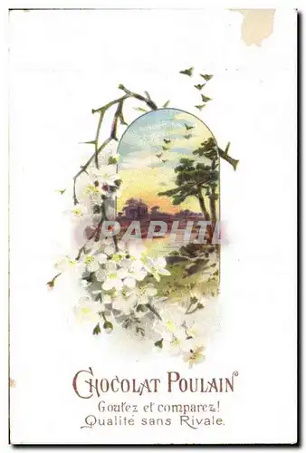 Chromo Chocolat Poulain Fleurs