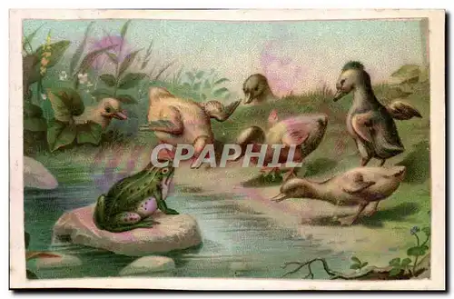 Chromo Chocolat Nantaise Berthelot Rue Voltaire Usine a vapeur Rue Canclaux Nantes Grenouille Canard