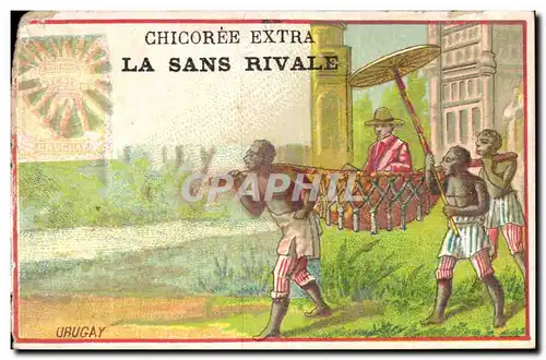 Chromo Chicoree Extra La Sans Rivale Boulogne sur Mer Pasteur Uruguay