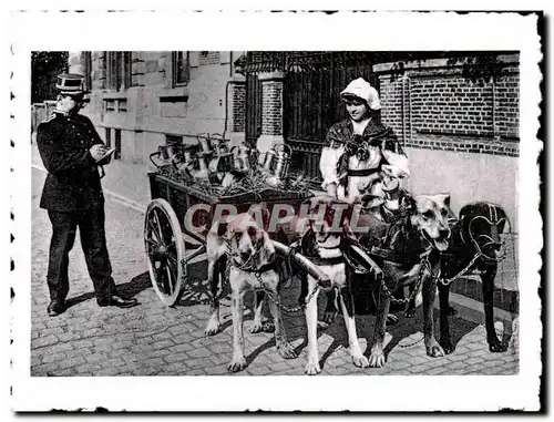 Cartes postales moderne Brugge Bruges Vlaamse Melkvrouw Laitiere flamande Voiture a chiens