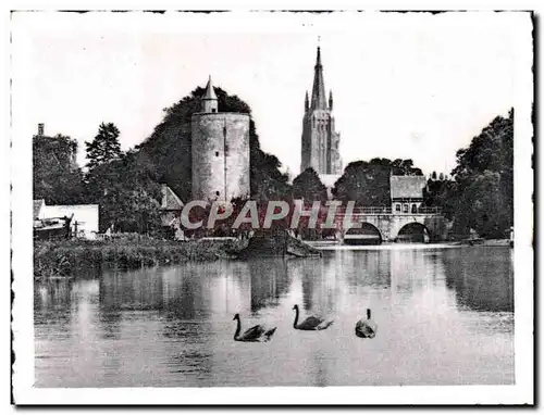 Cartes postales moderne Brugge Bruges Het Minnewater Le Lac d&#39Amour