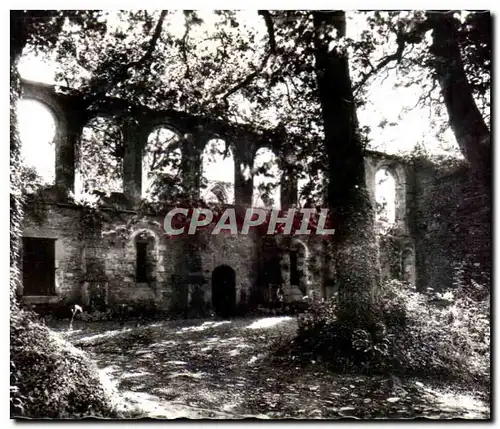 Cartes postales moderne Abbaye de Beauport Le Cour Nord Les Baies du Refectoire