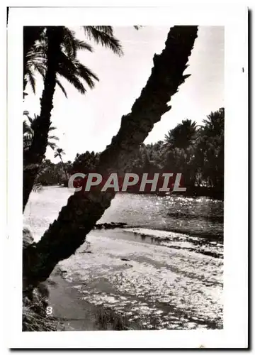 Cartes postales moderne Colomb Bechar Sri Lanka Ceylon Ceylan