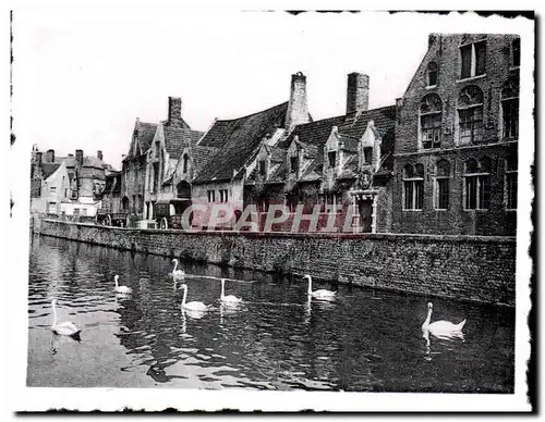 Cartes postales moderne Brugge Bruges Groene Rei Godshuis De Pelikann Quai Vert