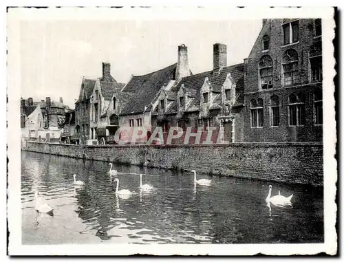 Cartes postales moderne Brugge Bruges Groene Rei Godshuis Quai Vert Maison Du Pelican