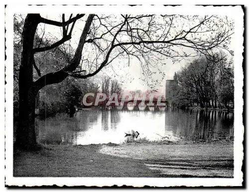 Cartes postales moderne Brugge Bruges Het Minnewater Le Lac d&#39Amour