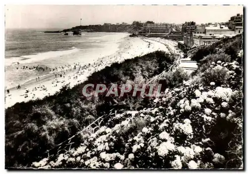 Cartes postales moderne Biarritz Les Hortensias Et La Grande Plage