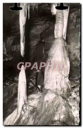 Cartes postales moderne Les Pyrenees Les Grottes de Betharram Stalactites vivantes