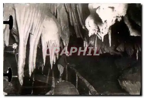 Cartes postales moderne Les Pyrenees Les Grottes de Betharram La Salle des Pieuvres