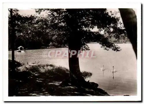 Cartes postales moderne Contrexeville Le Lac de la Folie