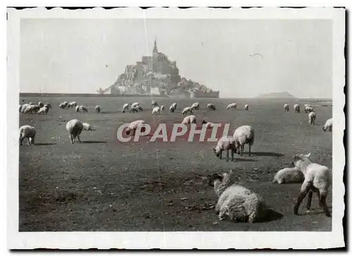 Cartes postales moderne Mont Saint Michel