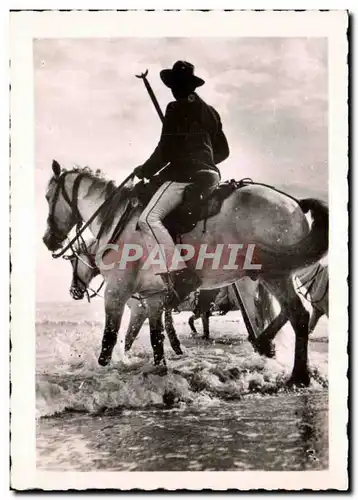 Moderne Karte Saintes Maries de la mer Les Gardians Cheval